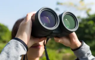 Woman using bird watching binoculars