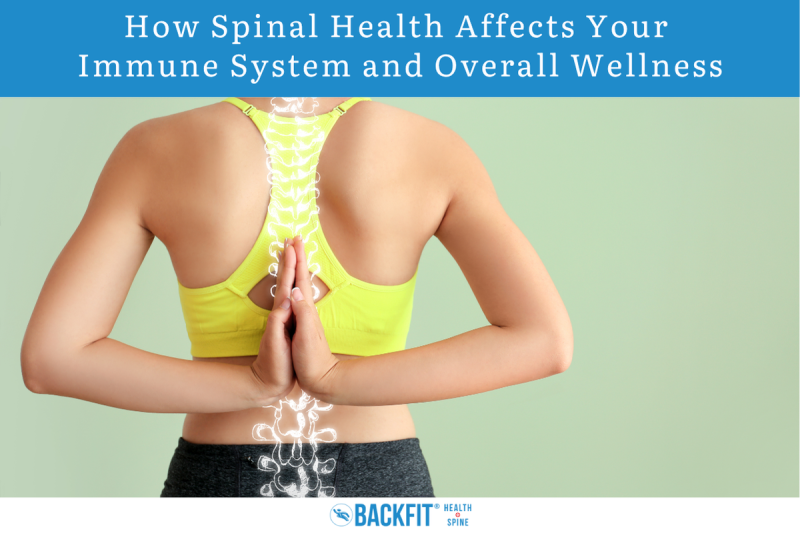 How Spinal Health Affects Your Immune System and Overall Wellness