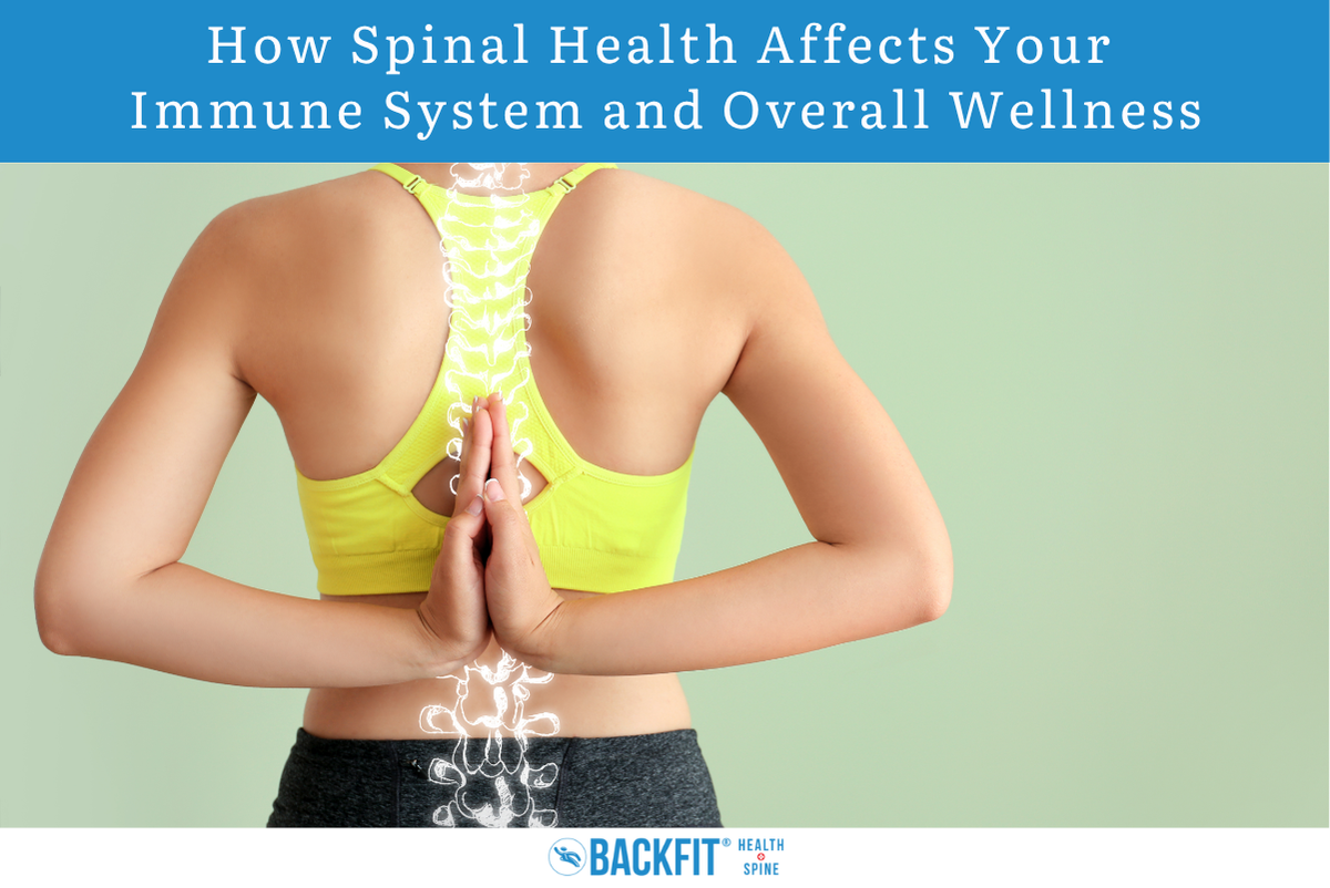 How Spinal Health Affects Your Immune System and Overall Wellness